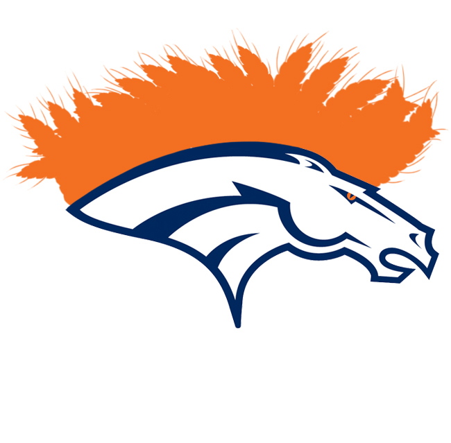Denver Broncos Waves of Gram Logo iron on transfers